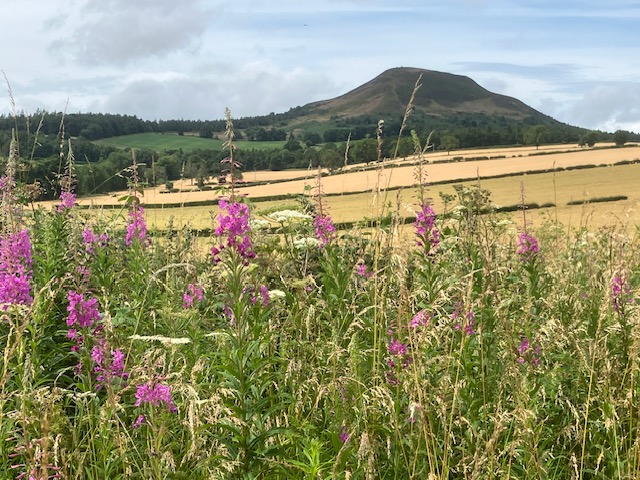 EildonRamblers's tweet photo. 7 Ramblers enjoyed Lorna's 10 mile Melrose circular walk.  We walked along the Tweed to Newstead, stopped for refreshments at the Trimontium viewpoint, then went on to Eildon village, Bowden &amp; finally back over the Saddle to Melrose for Simply Delicious ice cream. Photos by Frank https://t.co/ppdErV0Aix