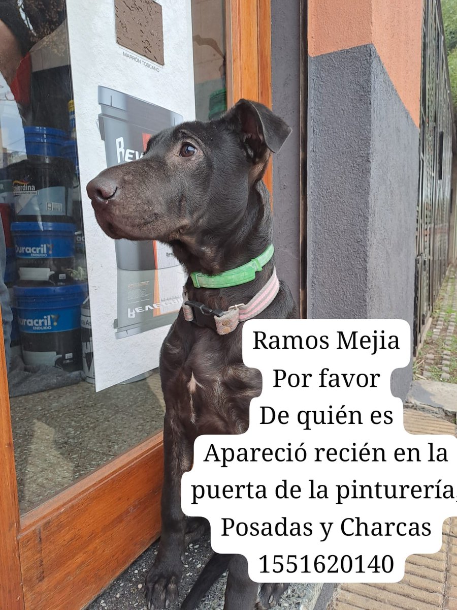 patripeyrou's tweet photo. Difundimos https://t.co/4mAaOuL70i