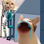 Photo by Mlem (@MlemMemeCoin)