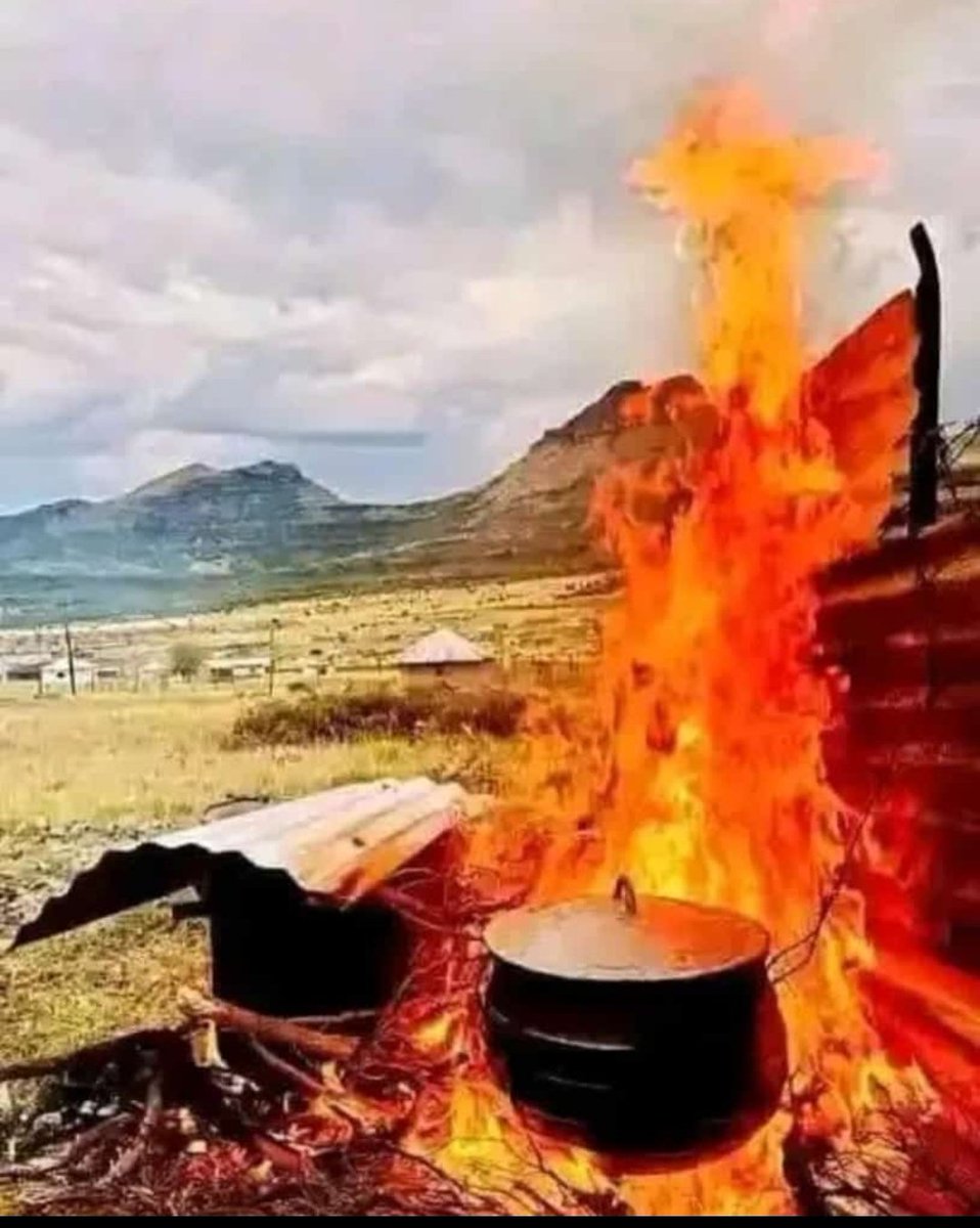 mufasa_zikode's tweet photo. Rassie cooking his squad to defend the WC in 2027 #Springboks #RSAvsPOR https://t.co/uB0wGQxyyI