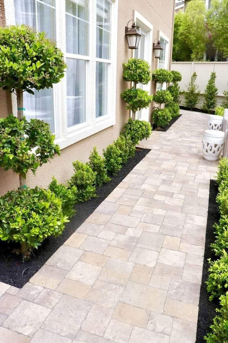 gardenandmoree's tweet photo. 🥰🍃🍃 https://t.co/s0wx01oJcl