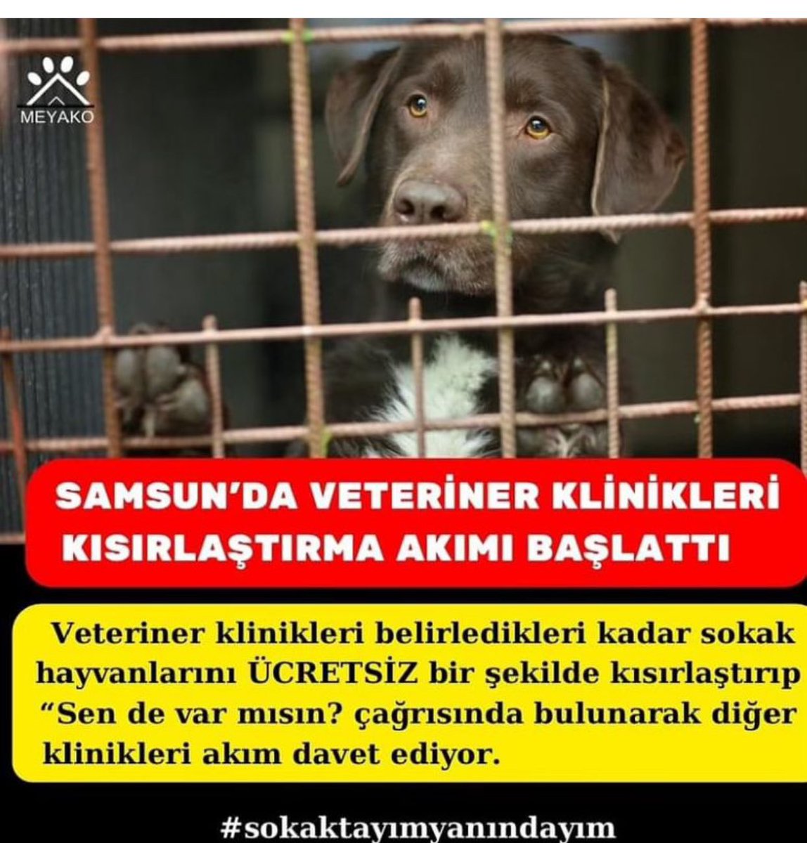 haysevder's tweet photo. Öldürmek ne demek! Başka çareler varken hele ki… 
#YasayiGeriCek https://t.co/38NiMu03Uv