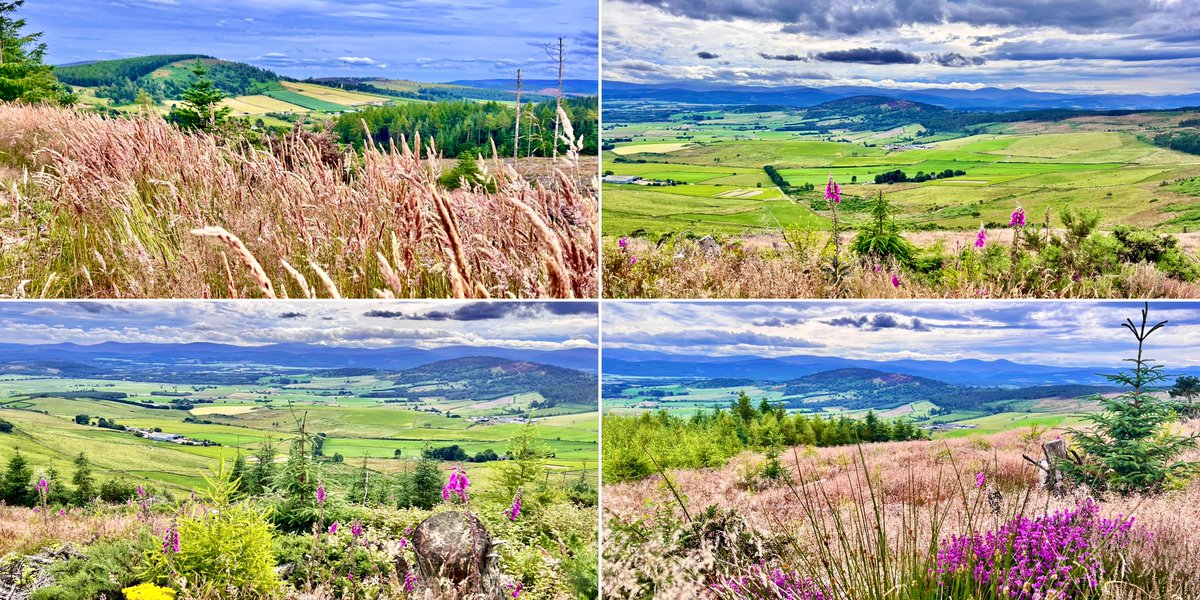 TheMackWalks's tweet photo. Today, Corse Hill💙 #walking #hiking #corsehill #cairngorms #corse #lumphanan #aberdeenshire #walkingaberdeenshire https://t.co/LXNQh4MRWE