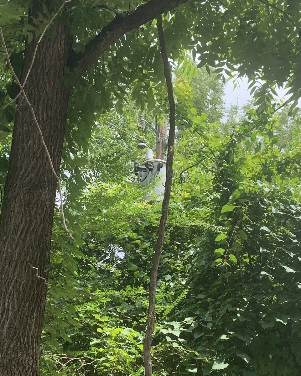 David Pope tweet media