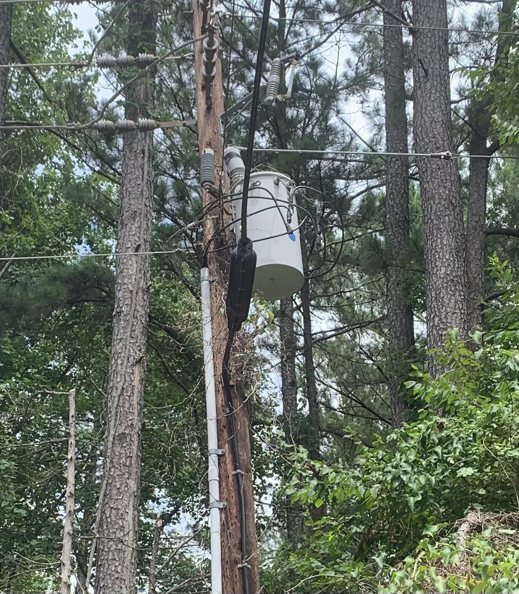 David Pope tweet media