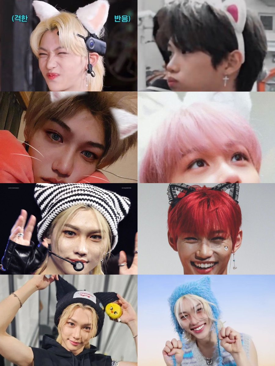 lee felix is possibly the most catboy to ever catboy in the history of catboys