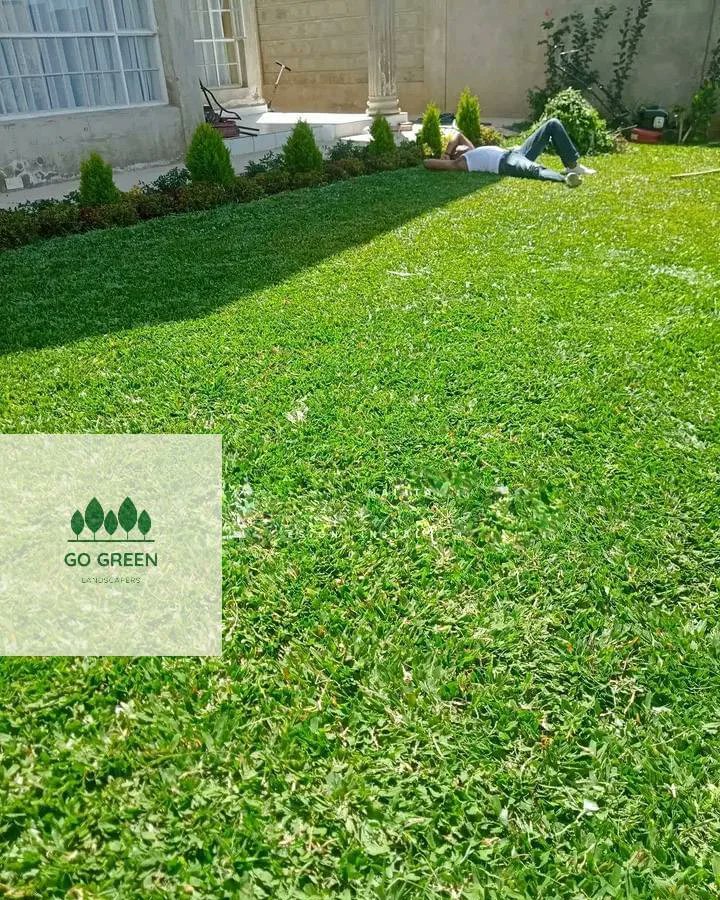SimonJohnson_ke's tweet photo. Landscaping that makes your yard look effortlessly beautiful.Go green landcapes🌳,we are your contact person. Call or Whatsapp 0799620408
#leak #justinmuturi #clitocurrency
#PresidentWilliamRuto #tupatanetuesday #kanono #universityofnairobi https://t.co/utGuJmZbMJ