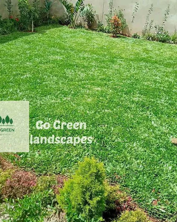 SimonJohnson_ke's tweet photo. Landscaping that makes your yard look effortlessly beautiful.Go green landcapes🌳,we are your contact person. Call or Whatsapp 0799620408
#leak #justinmuturi #clitocurrency
#PresidentWilliamRuto #tupatanetuesday #kanono #universityofnairobi https://t.co/utGuJmZbMJ