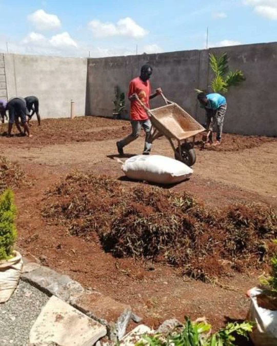 SimonJohnson_ke's tweet photo. Landscaping that makes your yard look effortlessly beautiful.Go green landcapes🌳,we are your contact person. Call or Whatsapp 0799620408
#leak #justinmuturi #clitocurrency
#PresidentWilliamRuto #tupatanetuesday #kanono #universityofnairobi https://t.co/utGuJmZbMJ