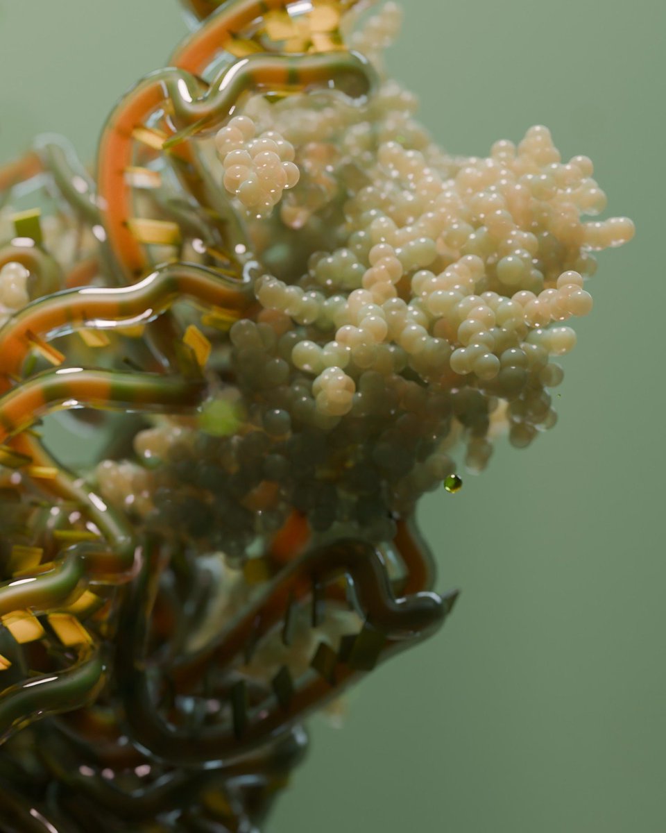 Verena Resch (@luminous_lab) on Twitter photo I am currently playing with different materials that are further from my usual style. Here I tried to create a ribosome to look like kelp π± or something you would find in the sea.
Structure imported using #molecularnodes and image is rendered with <a href="/Blender/">Blender πΆ</a>
#sciart #b3d I am currently playing with different materials that are further from my usual style. Here I tried to create a ribosome to look like kelp π± or something you would find in the sea.
Structure imported using #molecularnodes and image is rendered with <a href="/Blender/">Blender πΆ</a>
#sciart #b3d