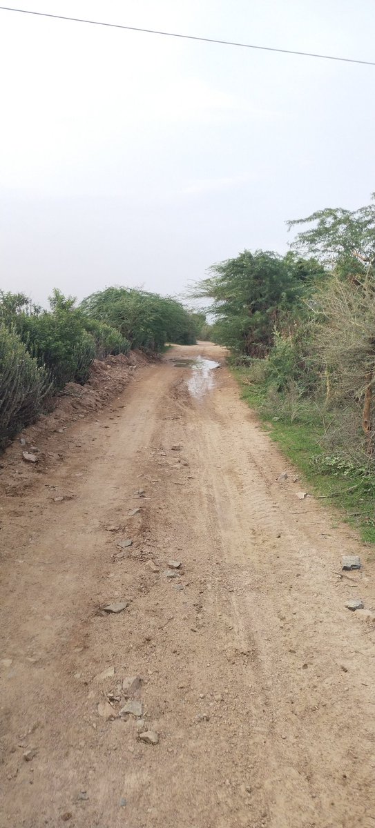 RameshpatelRS's tweet photo. बारिश के मौसम में गांवो का विकास 
@nitin_gadkari @narendramodi @milinddeora @lumbaram64 @aajtak @BhajanlalBjp @BJP4Rajasthan @VasundharaBJP https://t.co/f1oWOladib