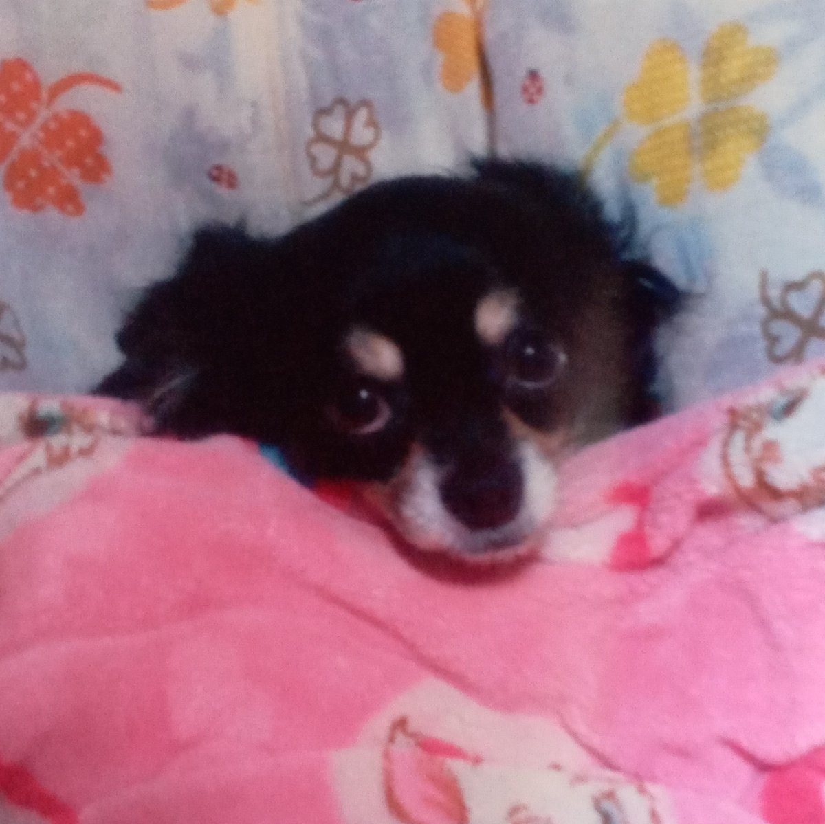 #新しいプロフィール画像