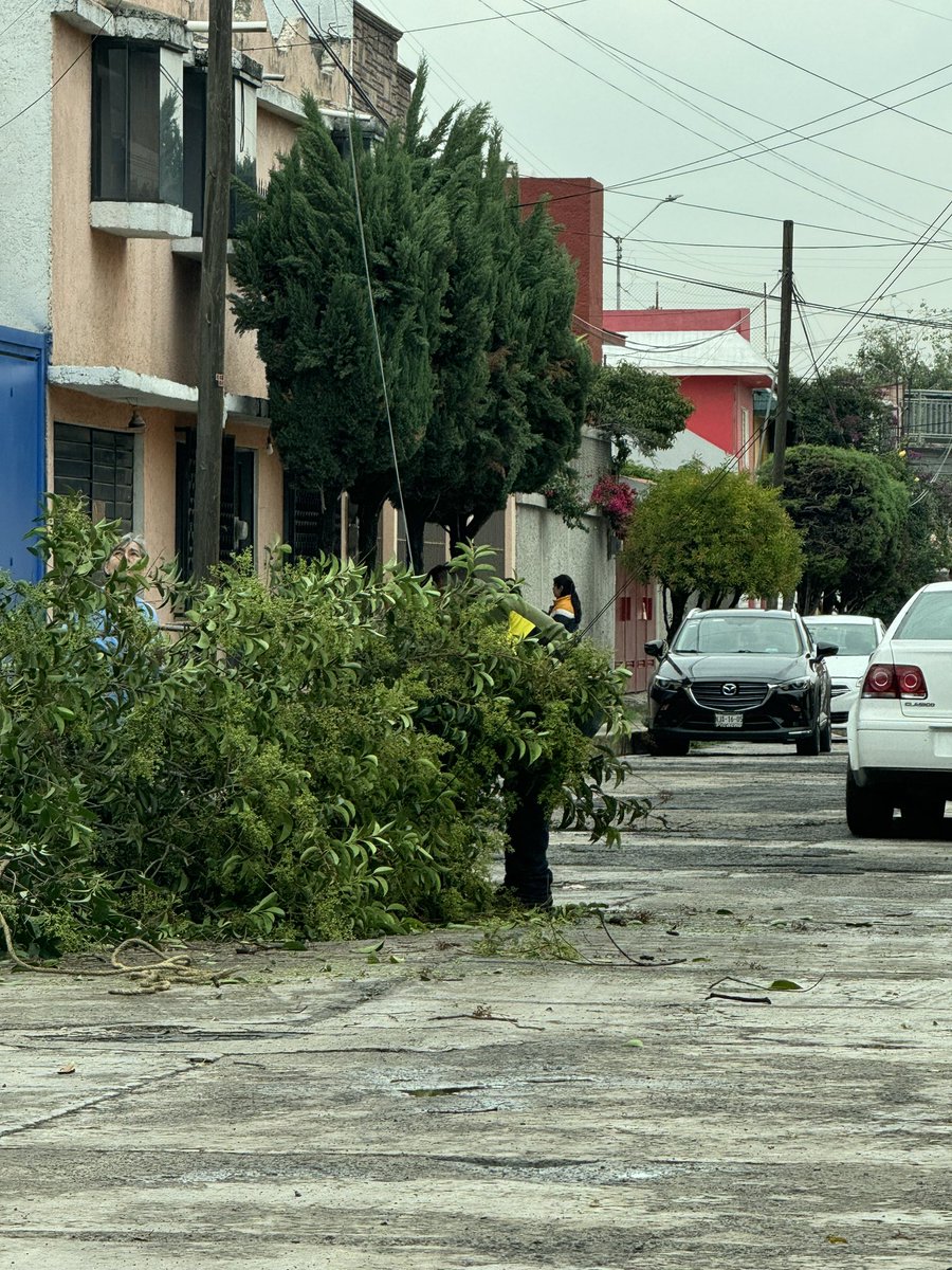gerard_aren's tweet photo. Doña Mergas; aparte del ecocidio se adueña de la calle, y el @GobNau 👏@supercivicosmx @Edomex https://t.co/voA9BMp9gy