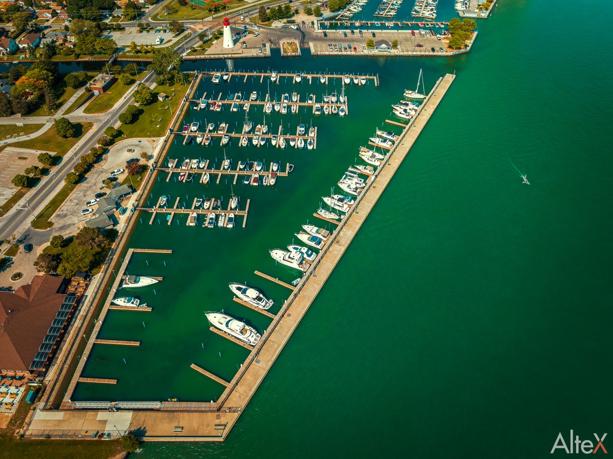 AlteX Academy tweet media