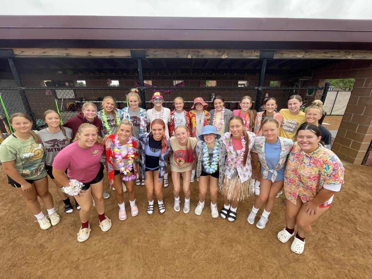 Ankeny Hawkette Softball tweet media