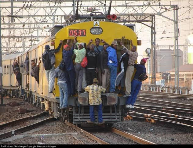 SaVheYa veX tweet media