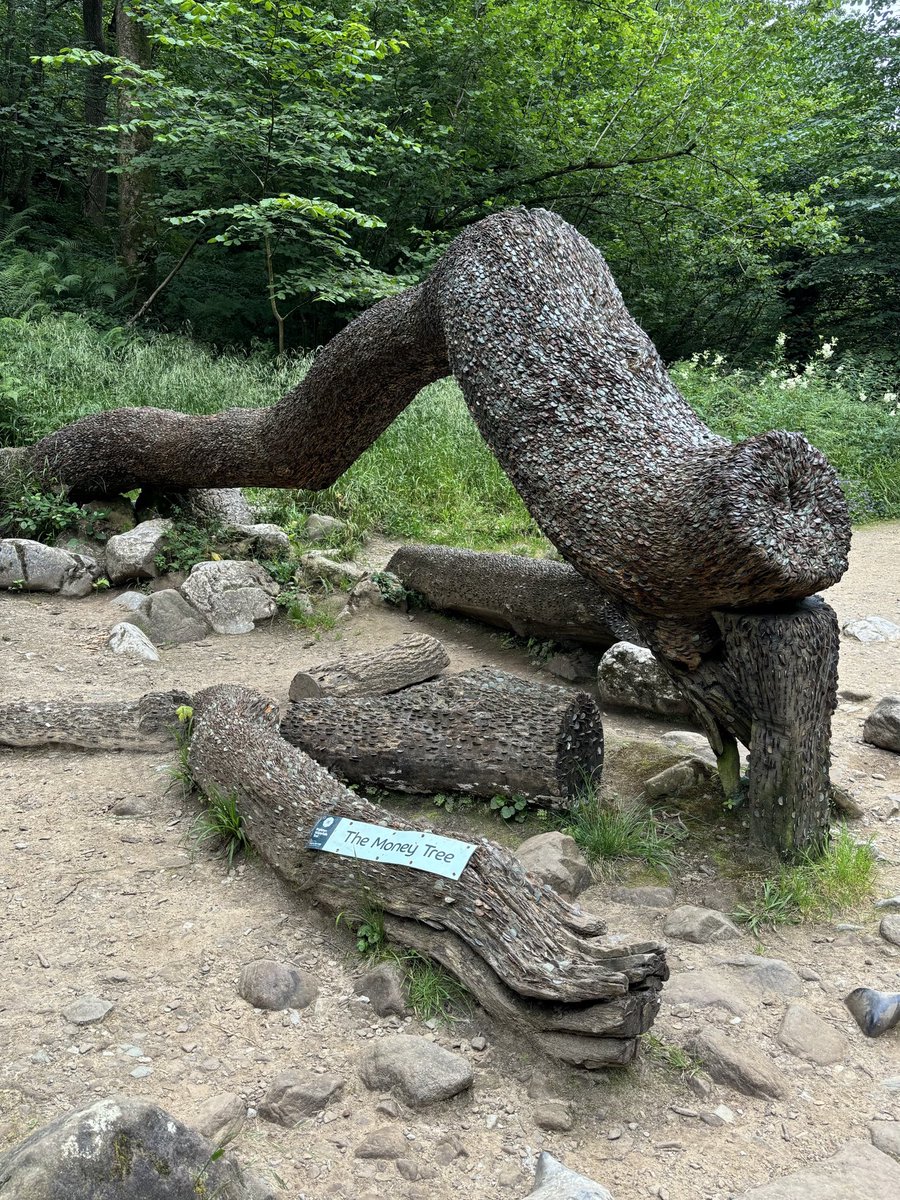 lucynorris1's tweet image. I found a magic money tree!
#magicmoneytree