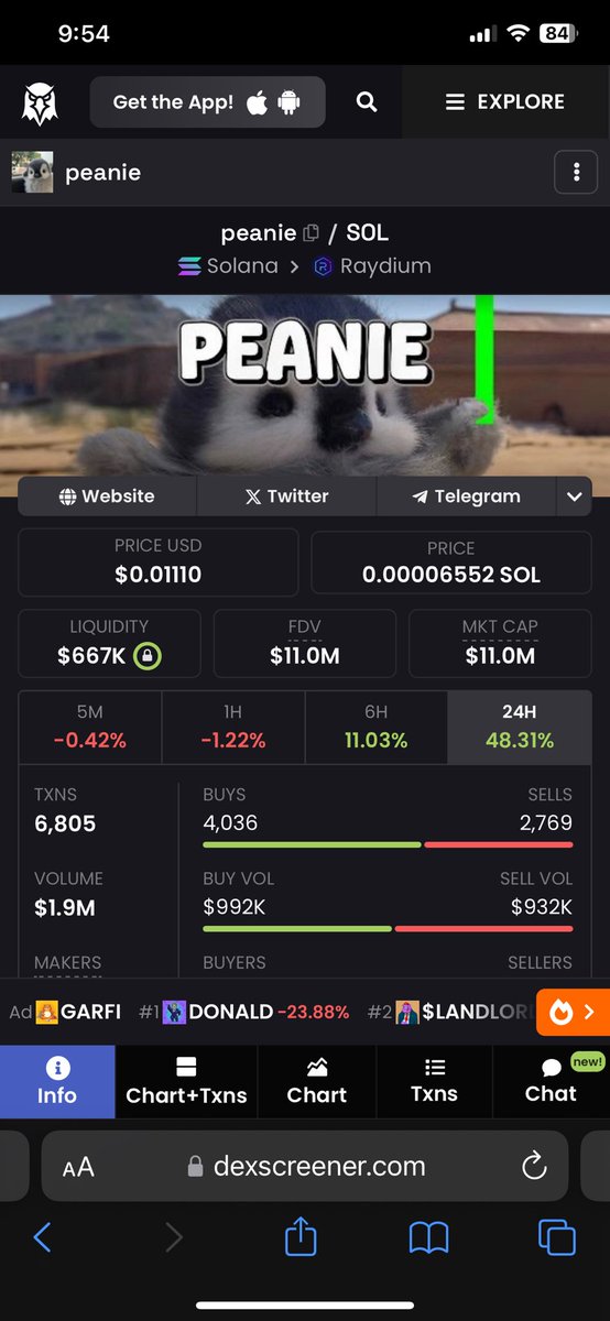PudgyAmateur🐧✳️ tweet media