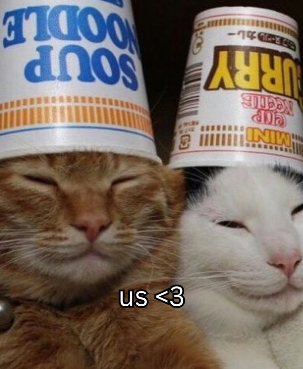 Punch Cat (@punchingcat) on Twitter photo 