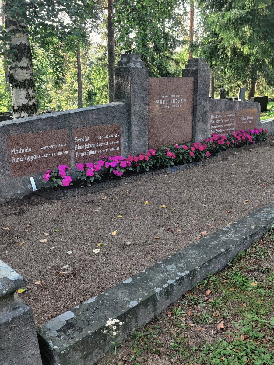 Kunnallisneuvos Matti Ikonen (puolisoni isän isoisä) ei ollut vaatimaton mies. Hänen + vaimojensa hauta on varmaan Kangasniemen suurin. Vilho nai leskeksi jäätyään perijättären x2. Poikansa Vilho oli kauppias (Ikosen K-kauppa), joka nai rovastin tyttären, jonka äiti oli Ruotsista