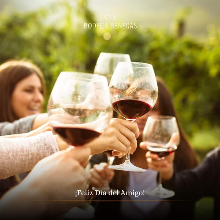 Hoy brindamos por esos amigos que son parte de nuestra historia.

¡Feliz Día del Amigo!🍷🍷

 #BodegaBenegas #DiaDelAmigo #BenegasWines  #Vino #Amistad
