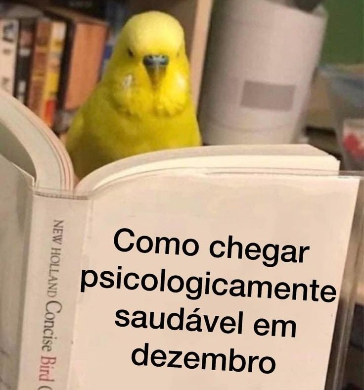 an_gelim's tweet photo. As vezes parece q tudo é estressante ....deve ser um teste https://t.co/Xx0aIHFhcM