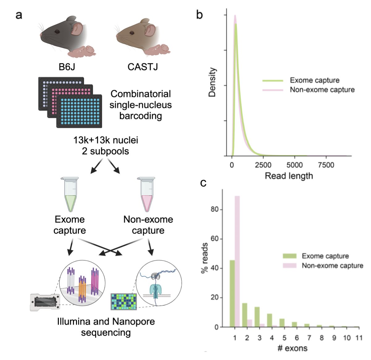 We needed a controlled dataset to benchmark on, so the <a href="/calizavi/">Ali Mortazavi</a> lab generated the ideal testbed: <a href="/illumina/">Illumina</a>  and <a href="/nanopore/">Oxford Nanopore</a> sequenced libraries with and without exome capture (to yield more reads from exons). And of course biological replicates for each. 4/