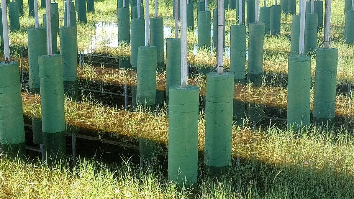 RobXRP007's tweet photo. Who's ready for  a sea of XRP green candles?

get ready for the biggest &amp; most significant breakouts in crypto history ~ https://t.co/SJjVIvlbGa