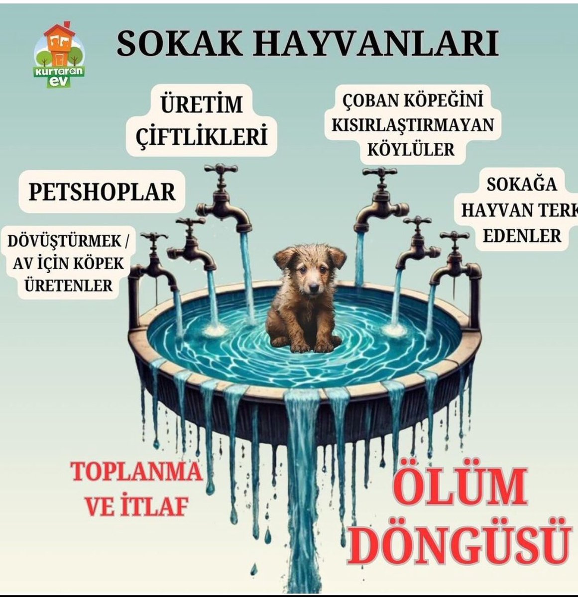ayseajdapekkan's tweet photo. Sokak hayvanları 1000 yıldır merhametli vicdanlı halkımıza “Devletimize “ emanettir . Sokak hayvanları   çöp değildir .  “ÖTENAZİ  BİR  İMKAN “ değildir  ,  OLDURMEKTİR  ,  YOK  ETMEKTİR #SokakHayvanlarıYalnızDeğildir #YasayiGeriCek @TCTarim @VahitKirisci 👇🏿👇🏿 https://t.co/akW5h8OkRw