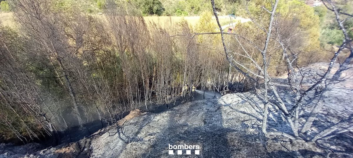 bomberscat's tweet photo. @112 CONTROLAT (19.02h) l'incendi d'Òdena. Continuem treballant per donar-lo per extingit en les pròximes hores. Ens retirem #MAER i mantenim 8 dotacions terrestres.
#GRAF #ADF #bomberscat https://t.co/Qsrnerr2OF