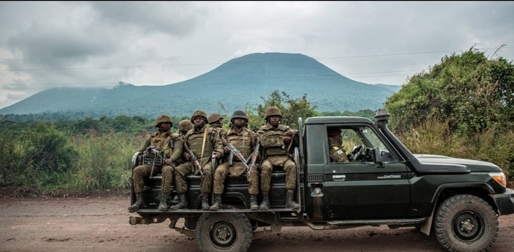 SimaroNgongoMba's tweet photo. LES #MILITAIRES DE L’UNITÉ SATAN 2 DES FARDC POINTÉS DU DOIGT PAR LA POPULATION DE #GOMA COMME AUTEURS DES TUERIES.
FORMÉE D’ÉLÉMENTS ANCIENNEMENT DE LA FORCE DU PROGRÈS DE L’UDPS, CES SOLDATS ZÉLÉS SONT #INTERDITS DE #CIRCULER DANS LES RUES DE #GOMA PAR LA POPULATION EXASPÉRÉE PAR LES ASSASSINATS DES HOMMES DE @TSHISEKEDI. LES GOMATRACIENS VEULENT SE PRENDRE EN CHARGE.
- C'est après enquêtes, constats, débats et délibérations que la Jeunesse de GOMA vient de lever l'option d'interdire aux militaires de l'unité SATAN 2 de déambuler à Goma et Nyiragongo vu qu'ils sont à l'origine de l'insécurité dans ces entités.
- La Jeunesse gomatrienne rappelle que la place des militaires en période de guerre c'est au front et pas dans les quartiers résidentiels des grandes agglomérations de la province.
- La sécurité étant une affaire de tous, il est donc impérieux que chacun à son niveau s'implique pour se rassurer que le mal soit écarté pour ne pas compter chaque jour des personnes inutilement arrachés à la vie à GOMA et Nyiragongo.
- Les jeunes de GOMA demandent la relève, le plus tôt possible, de l'unité SATAN 2 pour éviter d'autres accrochages nocturnes entre ces militaires et les jeunes qui désormais organisent des patrouilles nocturnes pour sécuriser leurs différents quartiers.
- Goma et Nyiragongo ne sont pas des champs d'expérimentation des armes ou des laboratoires d'analyses médicales où les morts sont continuellement étalées sans aucune solution sécuritaire durable.
« GOMA VEUT SE LIBÉRER DE L’INSÉCURITÉ. LES MILITAIRES DE TSHISEKEDI Y SÈMENT TRIBALEMENT TERREUR »