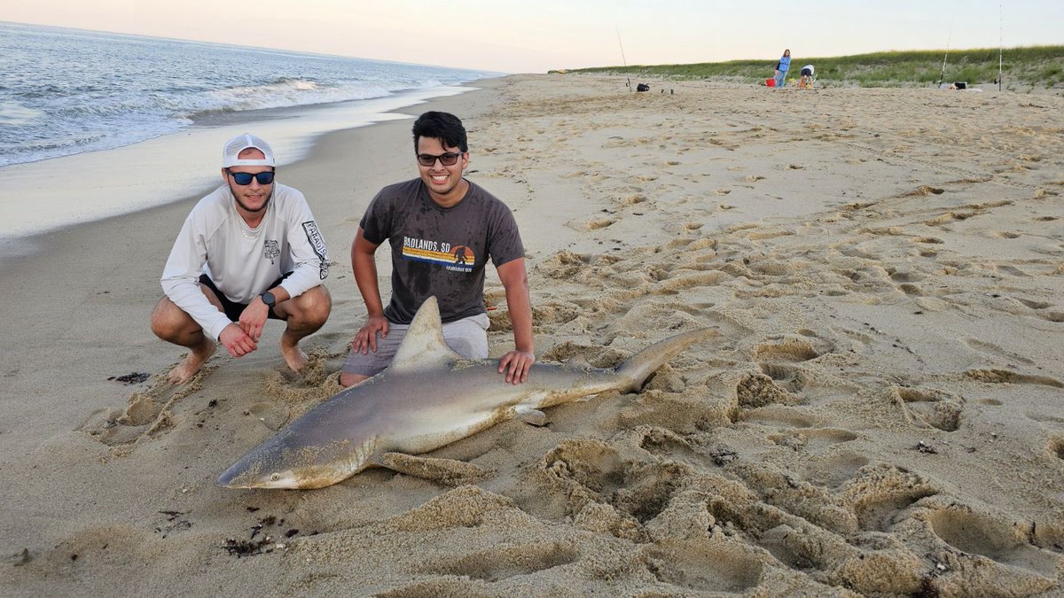 Deb Mirabelli, BSD100 (@mirabellideb) on Twitter photo This is a picture of lifelong friends, working for your dreams, and pure happiness. I’m sure it’s also that shark plotting against them even though they released him safely back to the water. <a href="/LewisUniversity/">Lewis University</a> <a href="/SaintPatrickHS/">Saint Patrick HS</a> <a href="/BerwynSouth100/">Berwyn South District 100</a> This is a picture of lifelong friends, working for your dreams, and pure happiness. I’m sure it’s also that shark plotting against them even though they released him safely back to the water. <a href="/LewisUniversity/">Lewis University</a> <a href="/SaintPatrickHS/">Saint Patrick HS</a> <a href="/BerwynSouth100/">Berwyn South District 100</a>