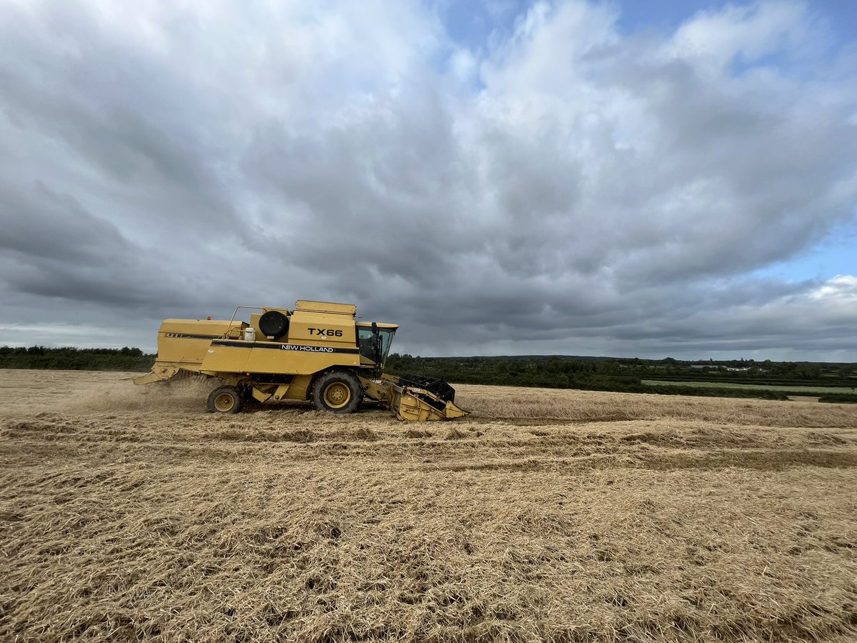 ConallMoore5's tweet photo. Majority of Crops that are chopped are NOT suitable for baling and will be chopped anyway. This is Co.Galway a high straw demand area if I could sell these crops I would. @GrowersGrain @AgrilandIreland @agriculture_ie https://t.co/5mMXt1MeTs
