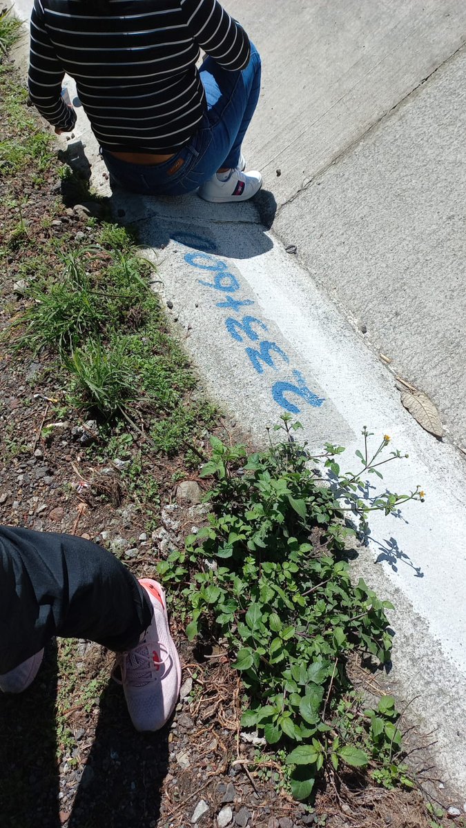 godie7's tweet photo. @CAPUFE @GN_Carreteras Aún hay gente varada!!
No hay circulación!! https://t.co/hMc5xQG0Rx