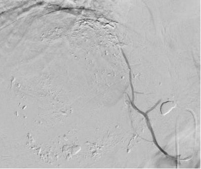 Zhang-JianXin tweet media