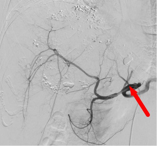 Zhang-JianXin tweet media