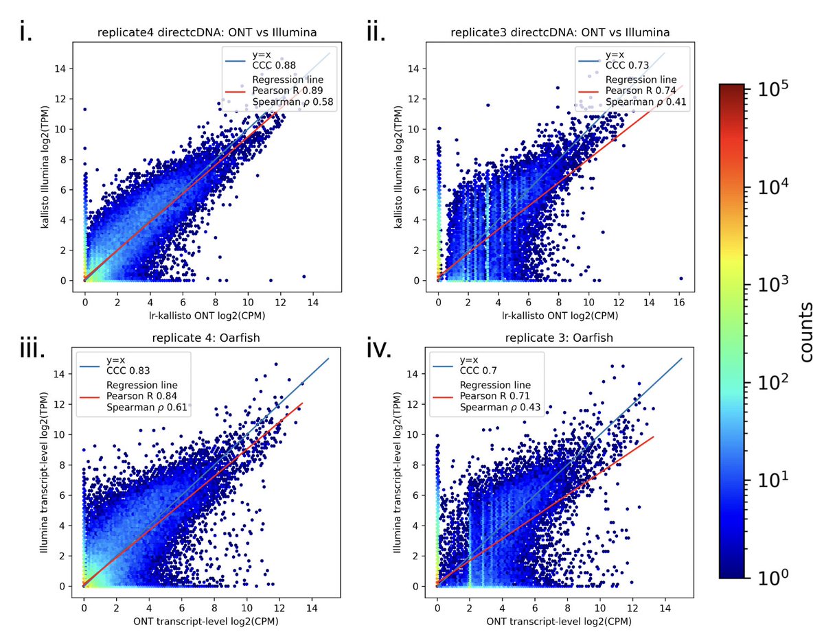 We also tested lr-kallisto on the main dataset used in the recent Oarfish preprint (the HCT116 cell line w/ Illumina and ONT), and succeeded in replicating the Oarfish results while showing that lr-kallisto outperforms Oarfish. 9/