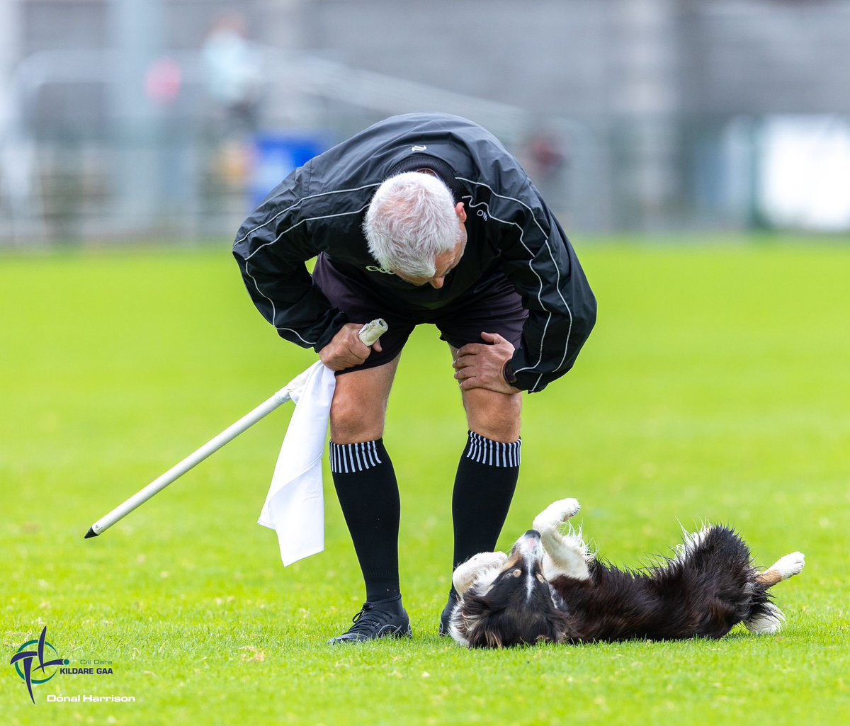 Kildare GAA tweet media