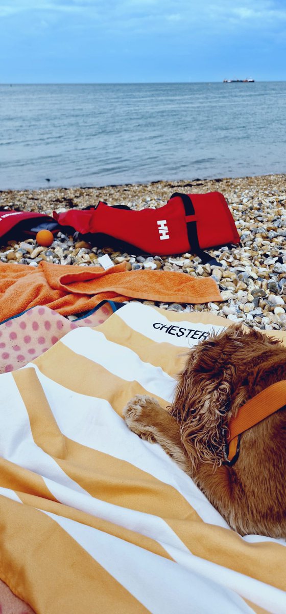 chester_friends's tweet image. #Cavpack Hi 👋 hope everyone is having a pawsome weekend. #SurferDudeChes has been paddleboarding. Even managed to get #SillyMummy on board 🤣🤣🤣. #Tankerton #PupsOnSups