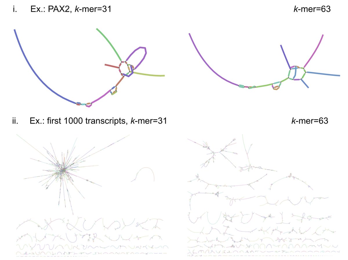 The preprint has detailed analyses not just demonstrating performance but also examining why lr-kallisto performs well and how it can be optimized. Tl;dr, longer k-mers in the transcriptome de Bruijn graph can be helpful. 11/
