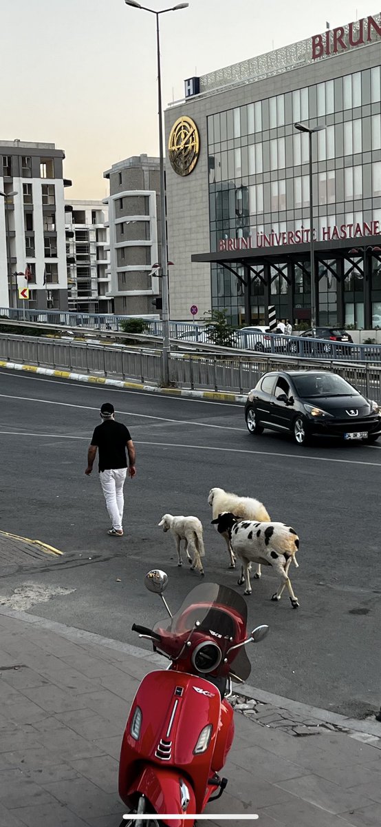 Metropol kanka ( sefaköy metrobüs )