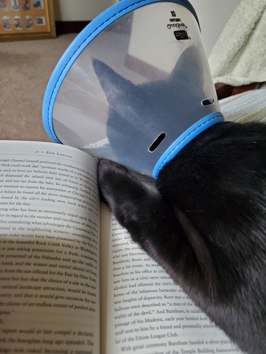 jingerly's tweet photo. Excuse me, sir. https://t.co/ME93steCUg