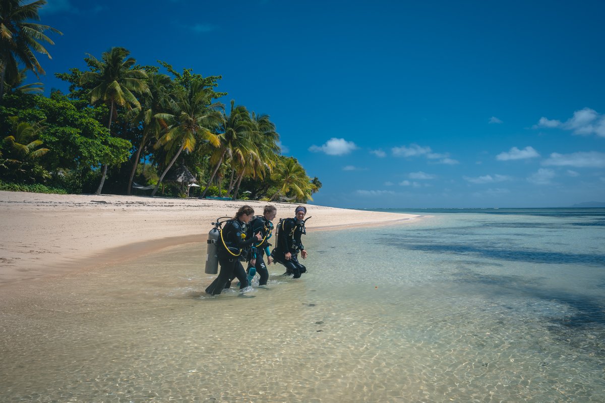 Happy Women's Dive Day! 💙 Today, we celebrate the incredible women who make waves in the diving world. Where are you celebrating? 
Let's honor the amazing contributions of women in diving and inspire each other with our underwater experiences.  #PADIWomensDiveDay