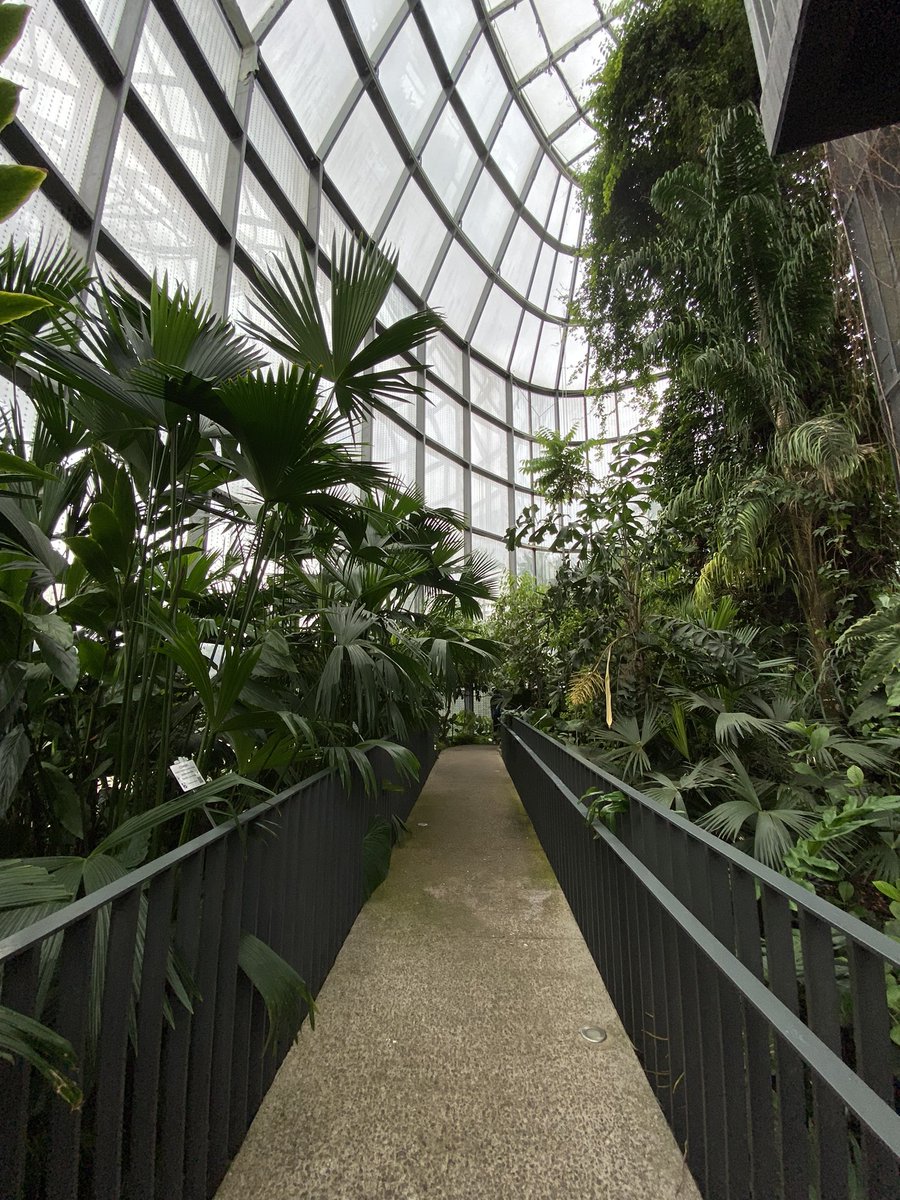 Elcolmo77's tweet photo. Jardín botánico ~ Bogota https://t.co/2JBMJo5vVb