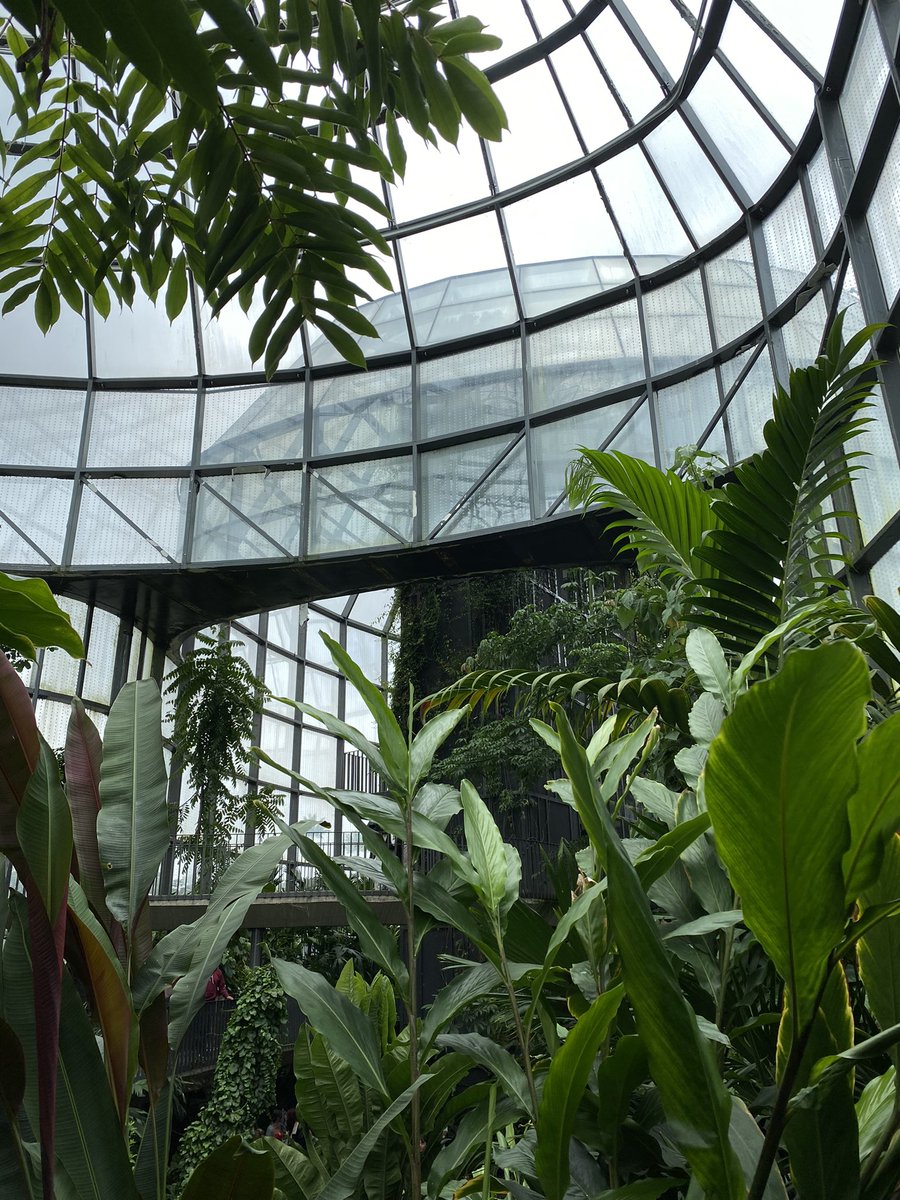 Elcolmo77's tweet photo. Jardín botánico ~ Bogota https://t.co/2JBMJo5vVb