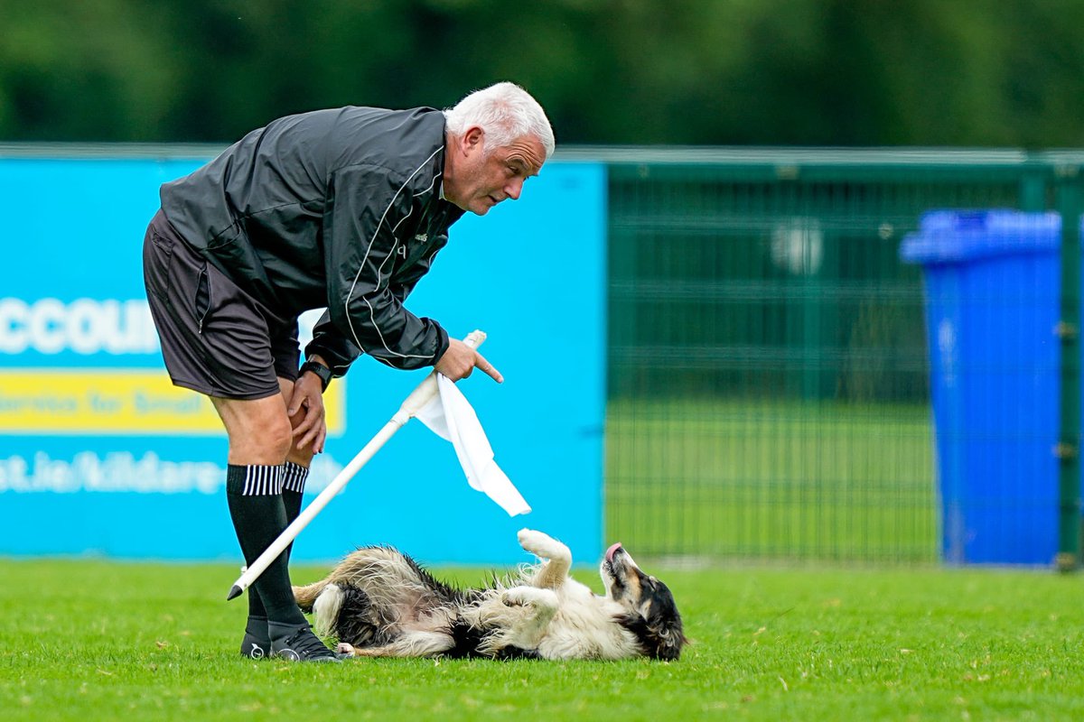 Kildare GAA tweet media