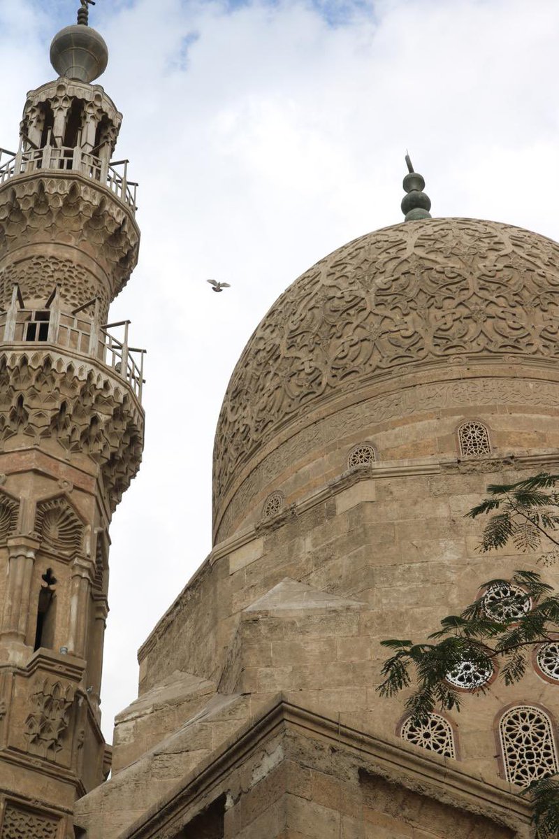 هو🤔
#تصويري