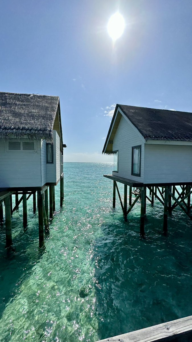 cutiecaryn's tweet image. i miss the maldives 🏝️