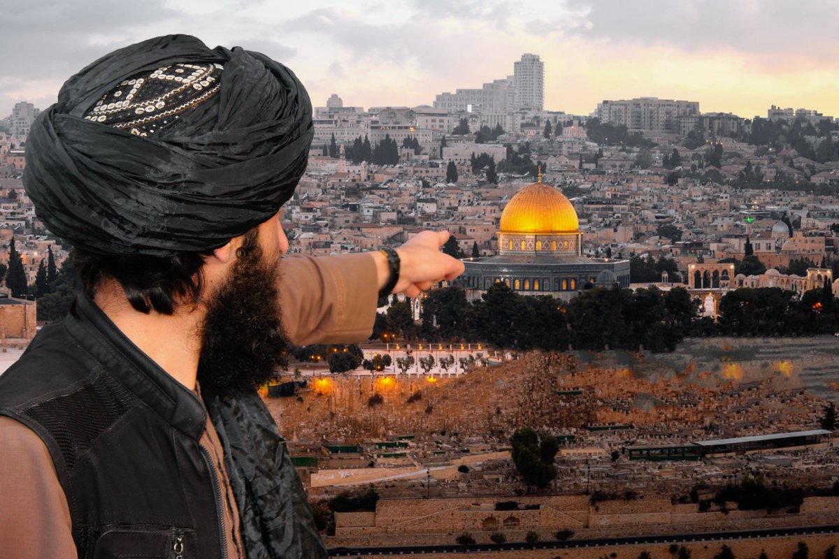 WakeelMubariz's tweet image. My photo of tomorrow, InshaAllah
