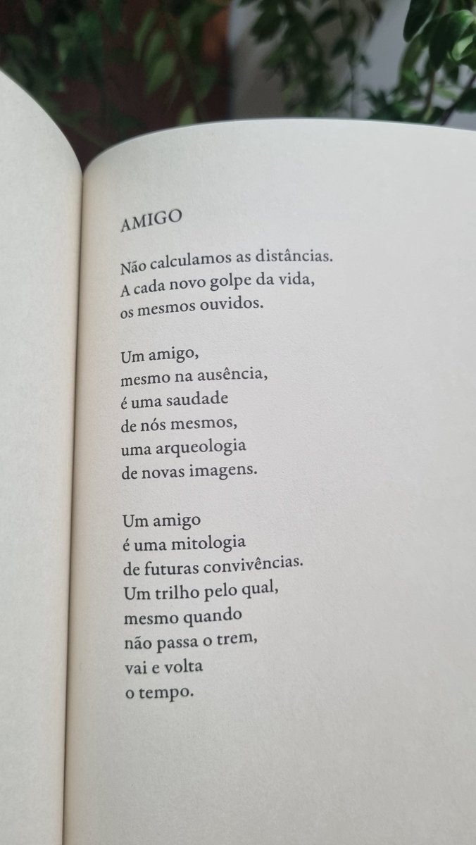 Feliz dia do amigo! 
Porma de "O sorriso do erro" (Aboio, 2023)